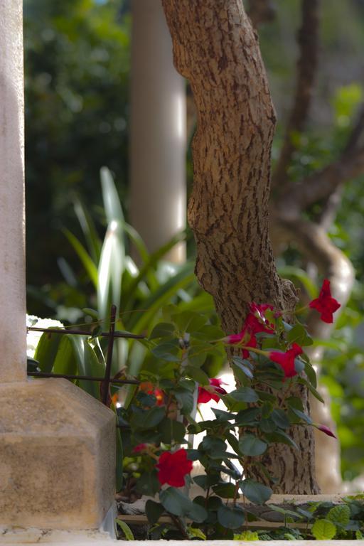 Green Park Apartments Dubrovnik Phòng bức ảnh